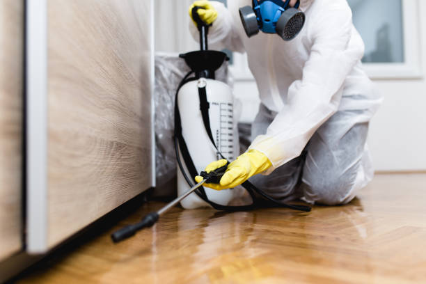 Best Bed Bug Extermination  in Canton, GA