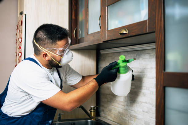 Best Pest Inspection Near Me  in Canton, GA