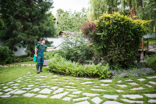 Best Pest Removal Services  in Canton, GA