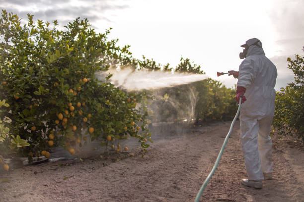 Best Emergency Pest Control  in Canton, GA