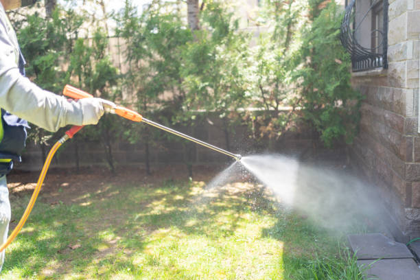 Best Rat Extermination Near Me  in Canton, GA