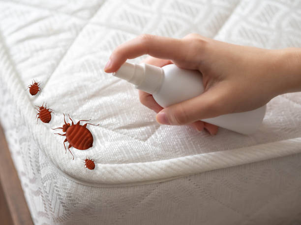 Best Affordable Pest Control Services  in Canton, GA